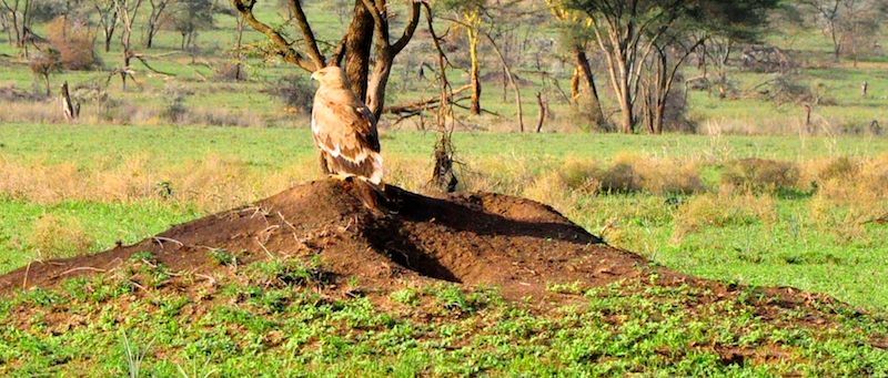 Melanie Heinrich Travel Images Africa